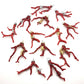 Ciondoli rametti di Corallo rosso del mediterraneo con catenine in argento 925